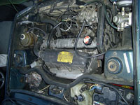 Renault-���� � ��������